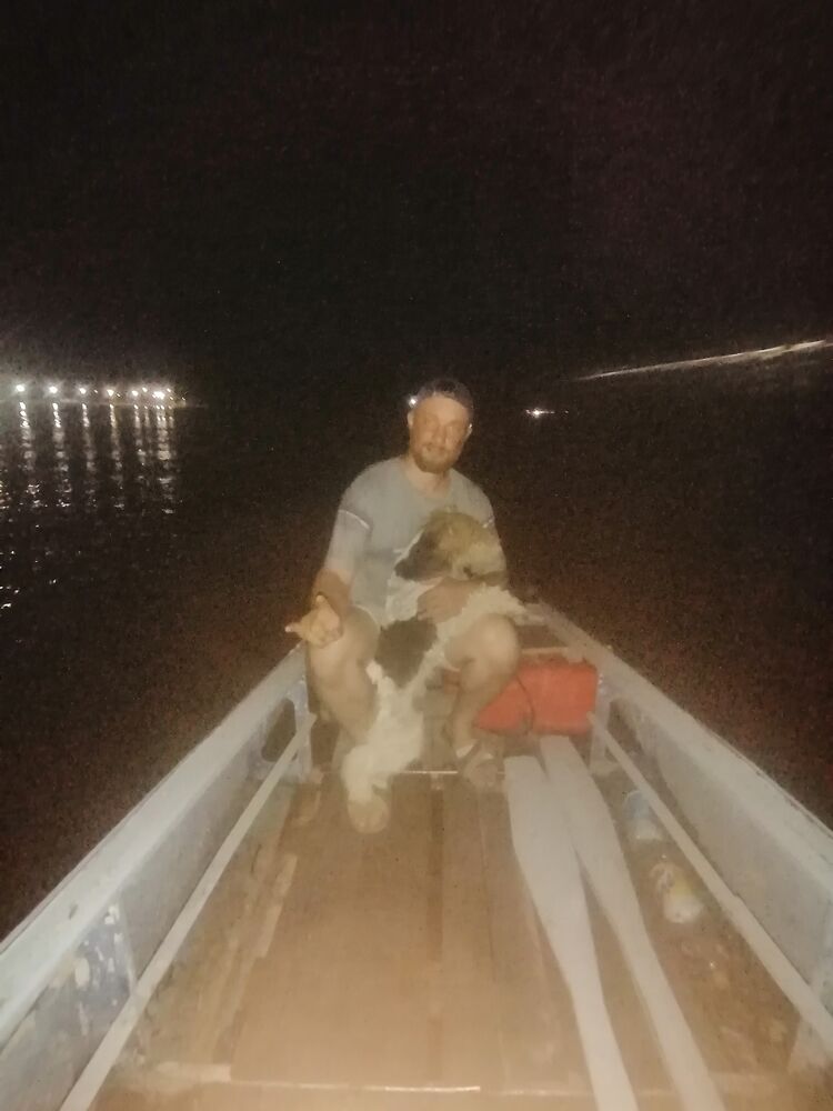 ���������� ���������, ���� ������� ������, 38 ���, ������������ ��� ������, ����� � ���������, c�������� ���������, ���������