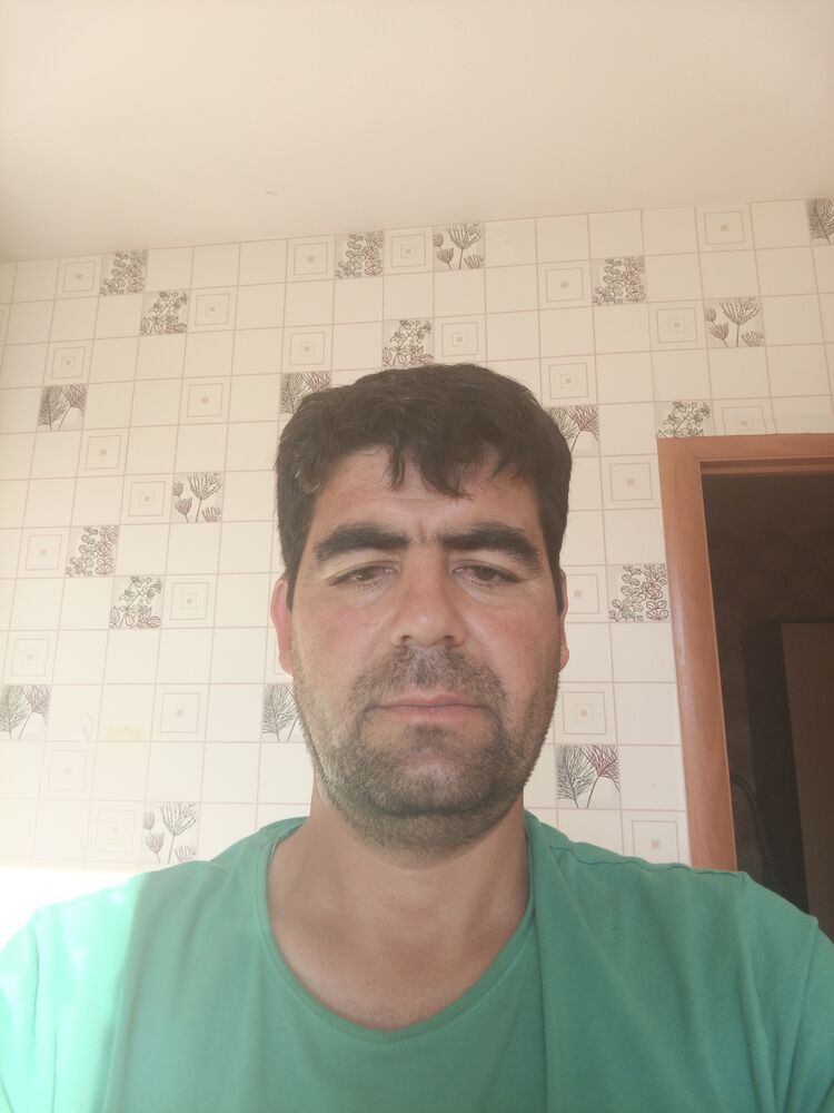  46034883  , 34 ,    -
