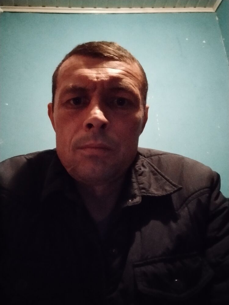  29313273  , 46 ,    