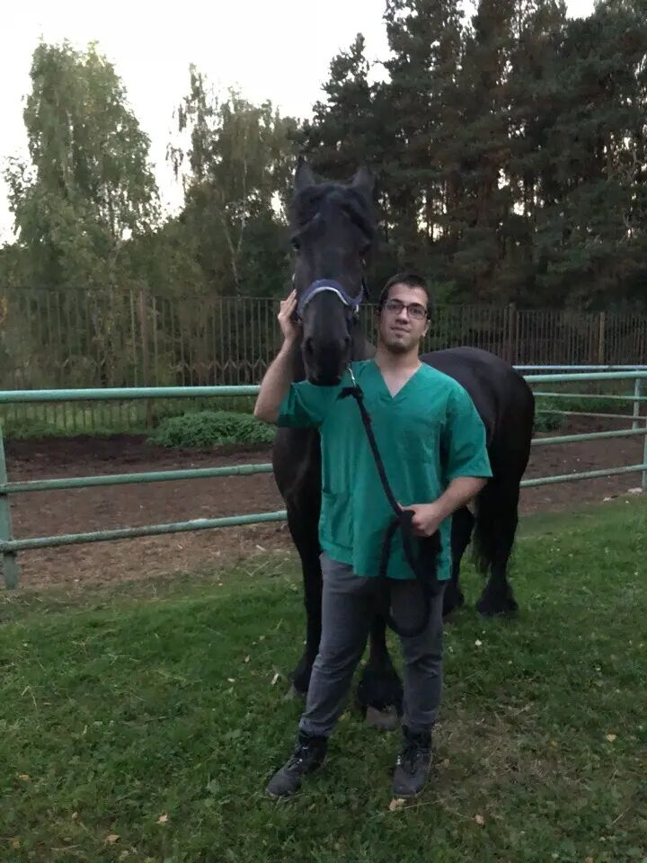 ���������� ����, ���� ������� �������, 29 ���, ������������ ��� ������, ����� � ���������