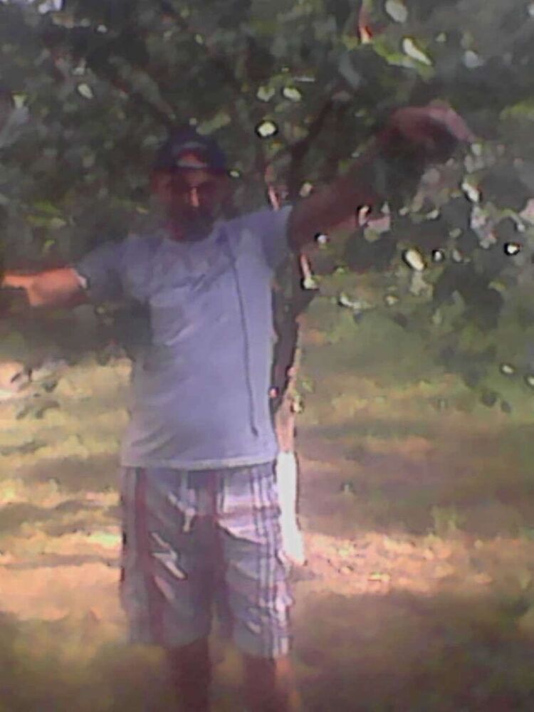 ���������� ����, ���� ������� ���������, 52 ����, ������������ ��� ������, ����� � ���������, c�������� ���������