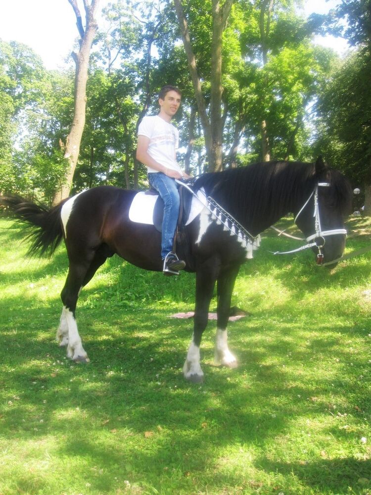 ���� 12755543 ������� �����, 34 ����, ���� ���������� � �����������