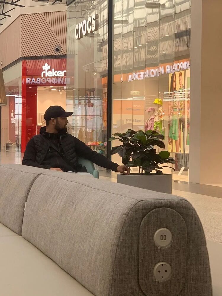  31787193  , 28 ,    -