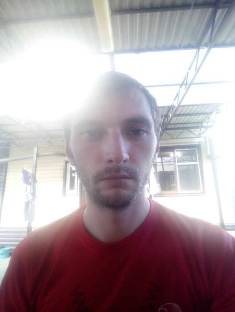  24175443  , 34 ,    