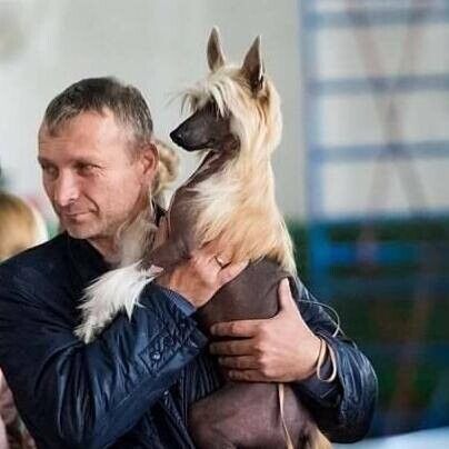 ���������� �����, ���� ������� �������, 51 ���, ������������ ��� ������, ����� � ���������, c�������� ���������