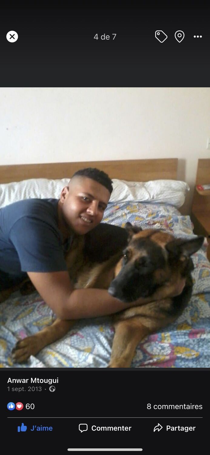 ���� 33982423 ������� �����, 33 ����, ���� ���������� � ������