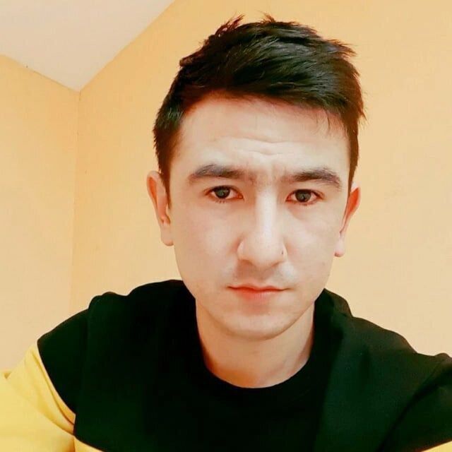  49437163  , 31 ,    