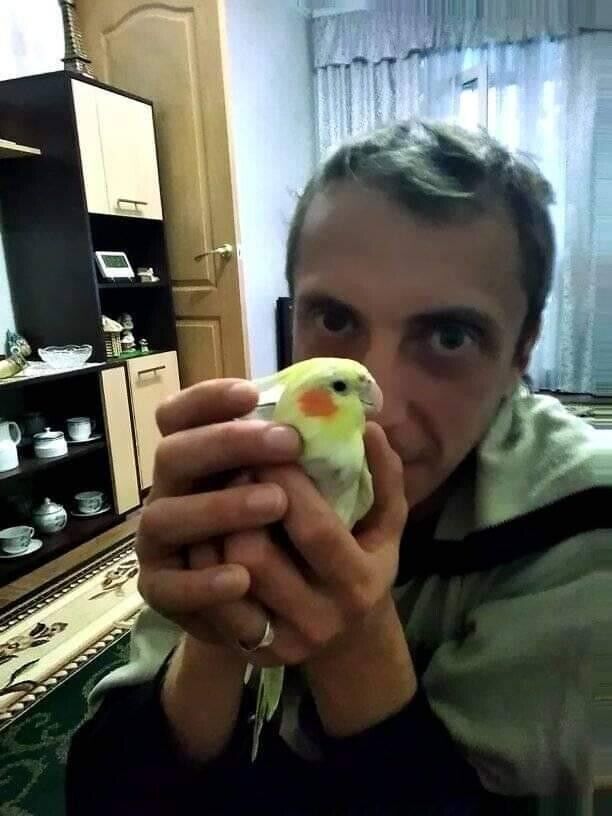 ���������� ����, ���� ������� �����, 43 ����, ������������ ��� ����� � ���������, c�������� ���������