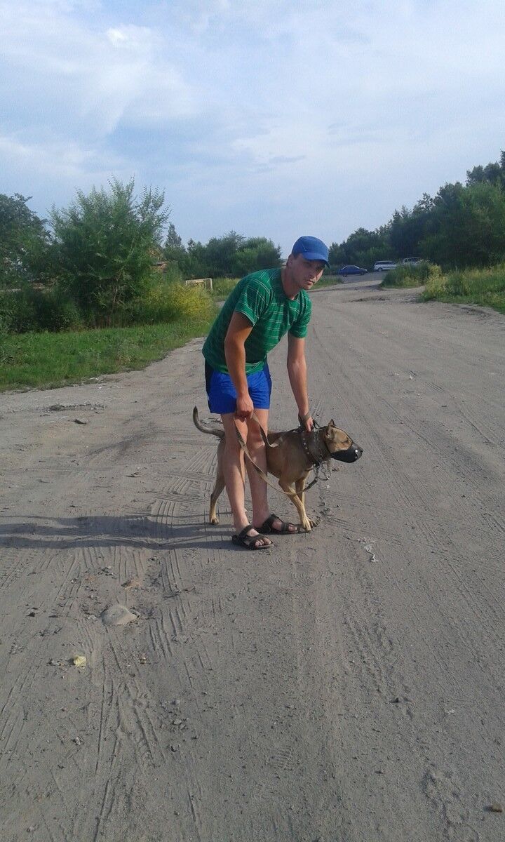  ,   Mikhail, 35 ,   ,   , c 