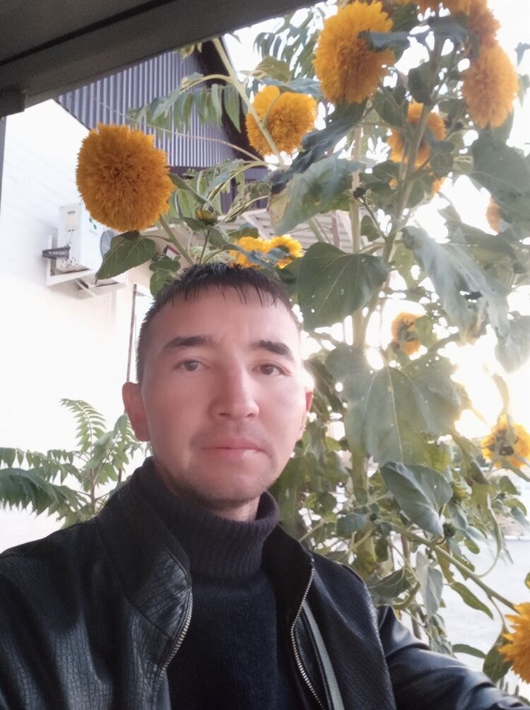 ���� 17895233 ������� ������, 43 ����, ���� ���������� � ���������