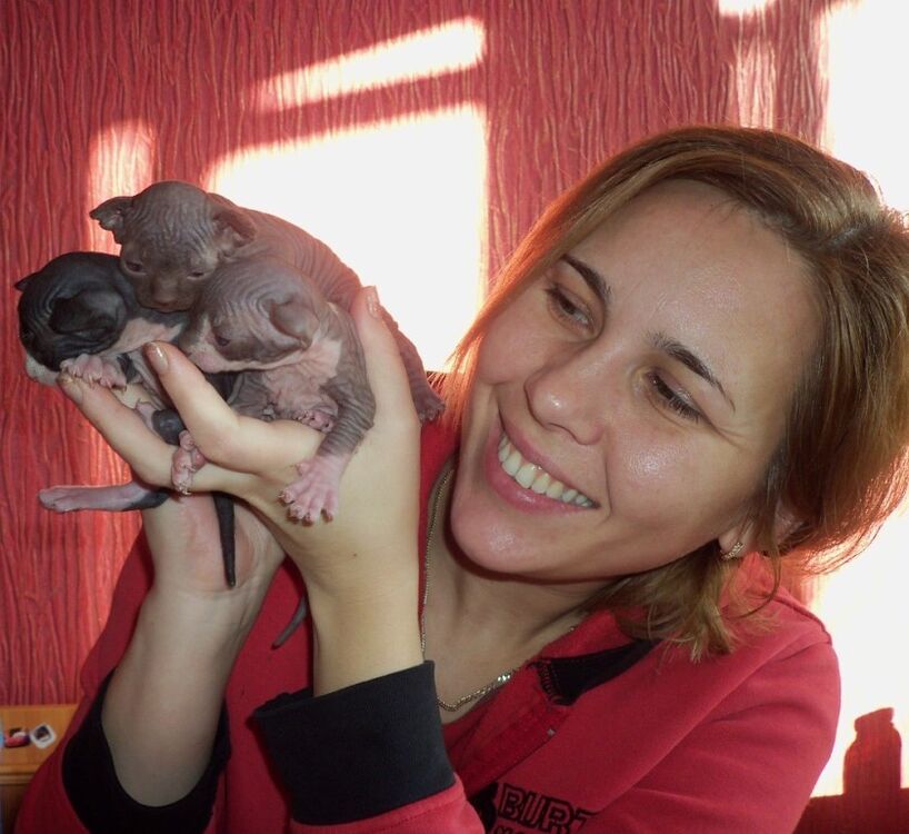 ���������� ��������-���������, ���� ������� �������, 44 ����, ������������ ��� ������, ����� � ���������, c�������� ���������