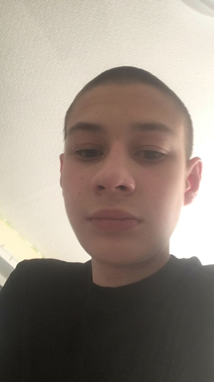  33453563  , 26 ,    