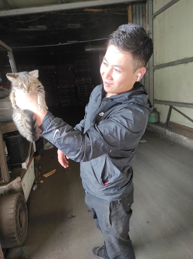 ���� 53484283 ����� ������, 22 ����, ���� ���������� � �������