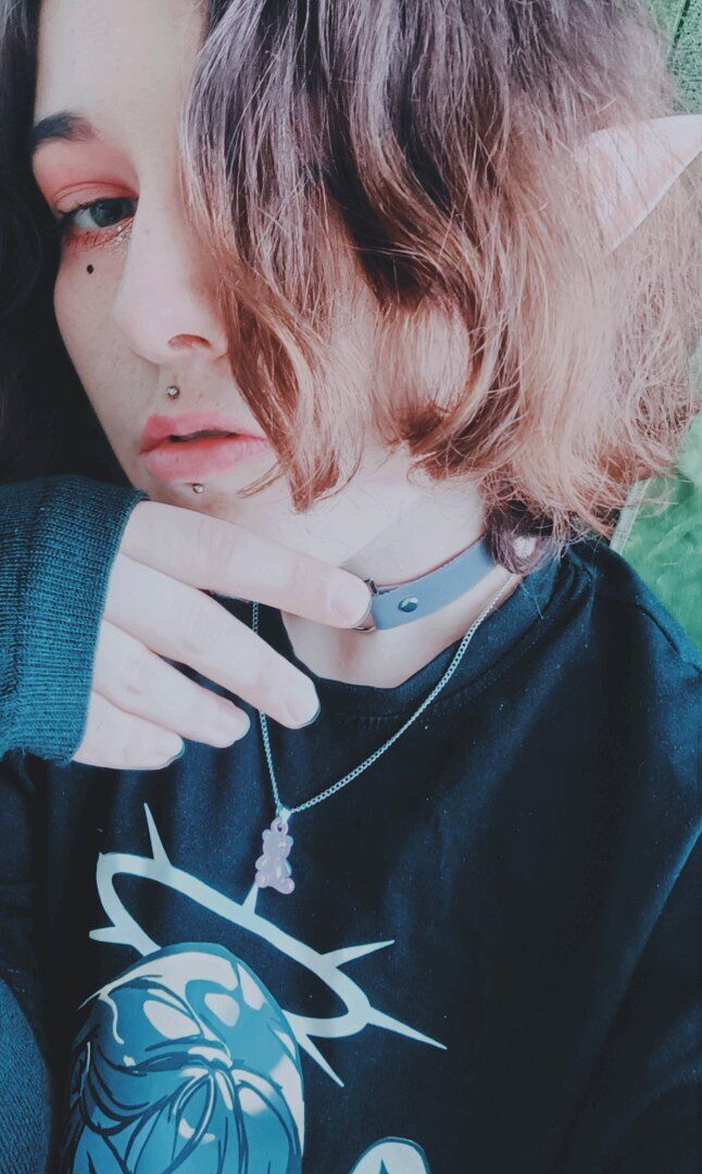  43538343  , 24 ,    