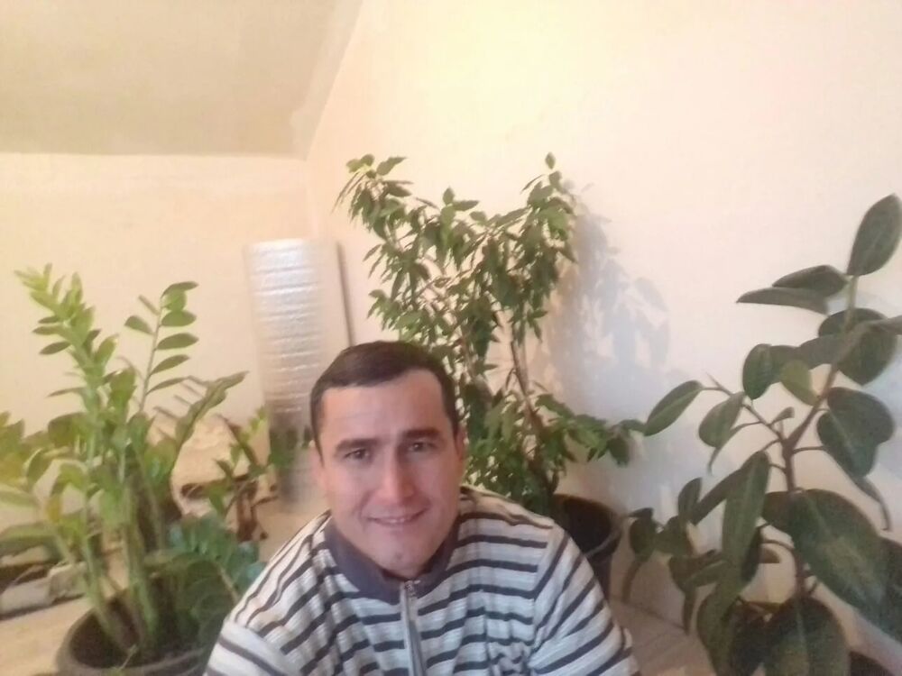 ���� 55961683 ������� ������, 45 ���, ���� ���������� � �������-��-����