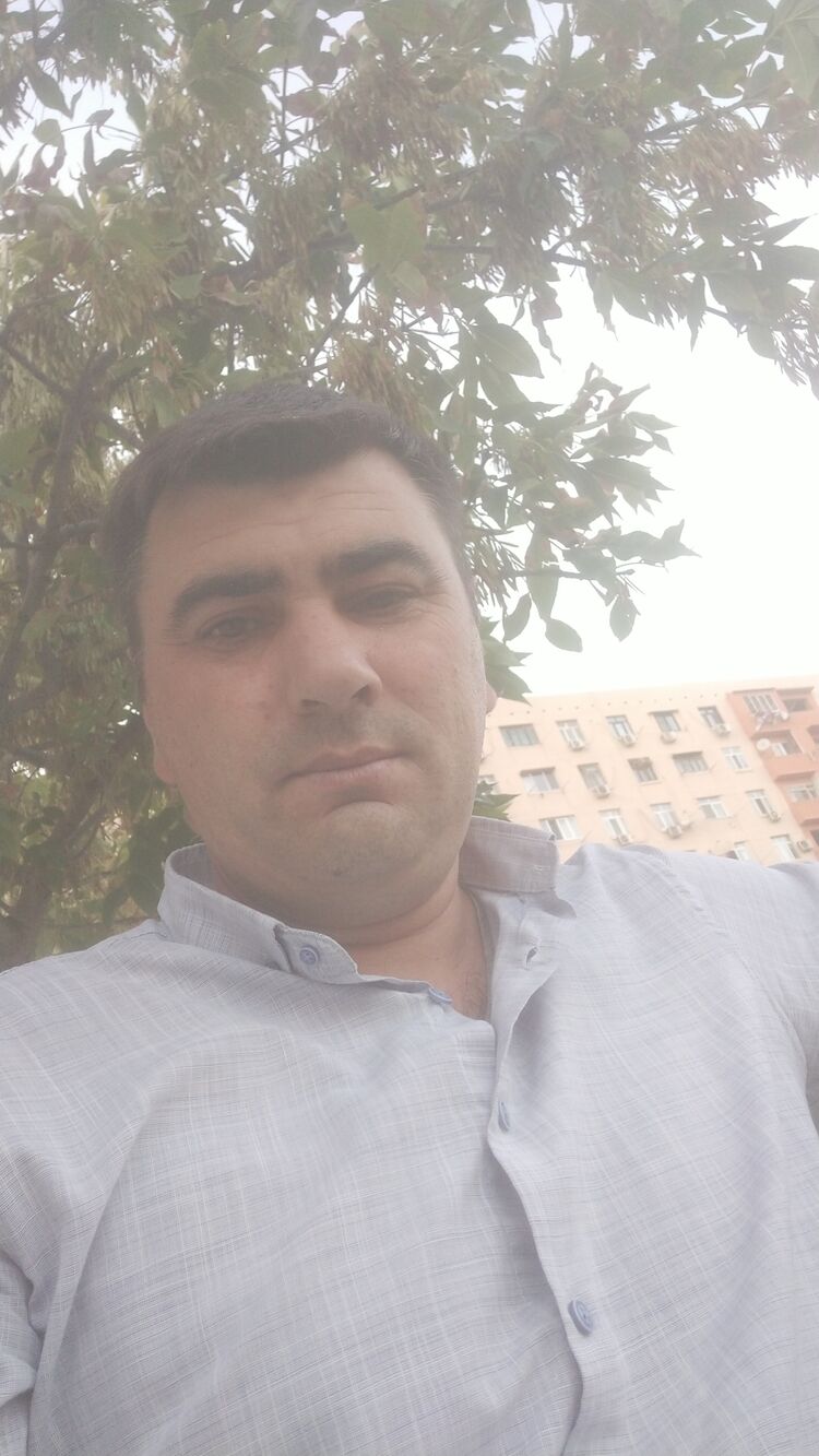 ���� 38098093 ������� ����, 43 ����, ���� ���������� � ����