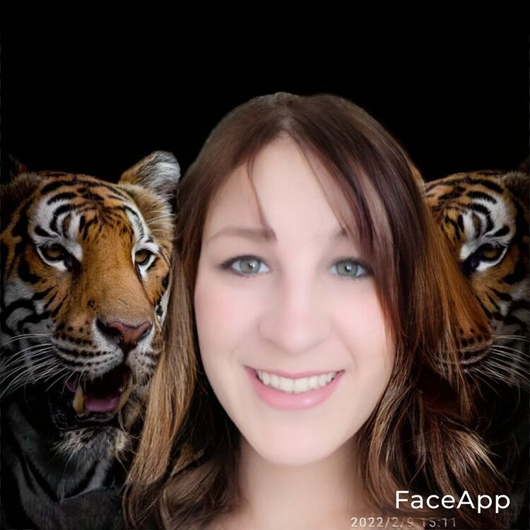 ���� 27357263 ������� ����������, 32 ����, ���� ���������� � ������������