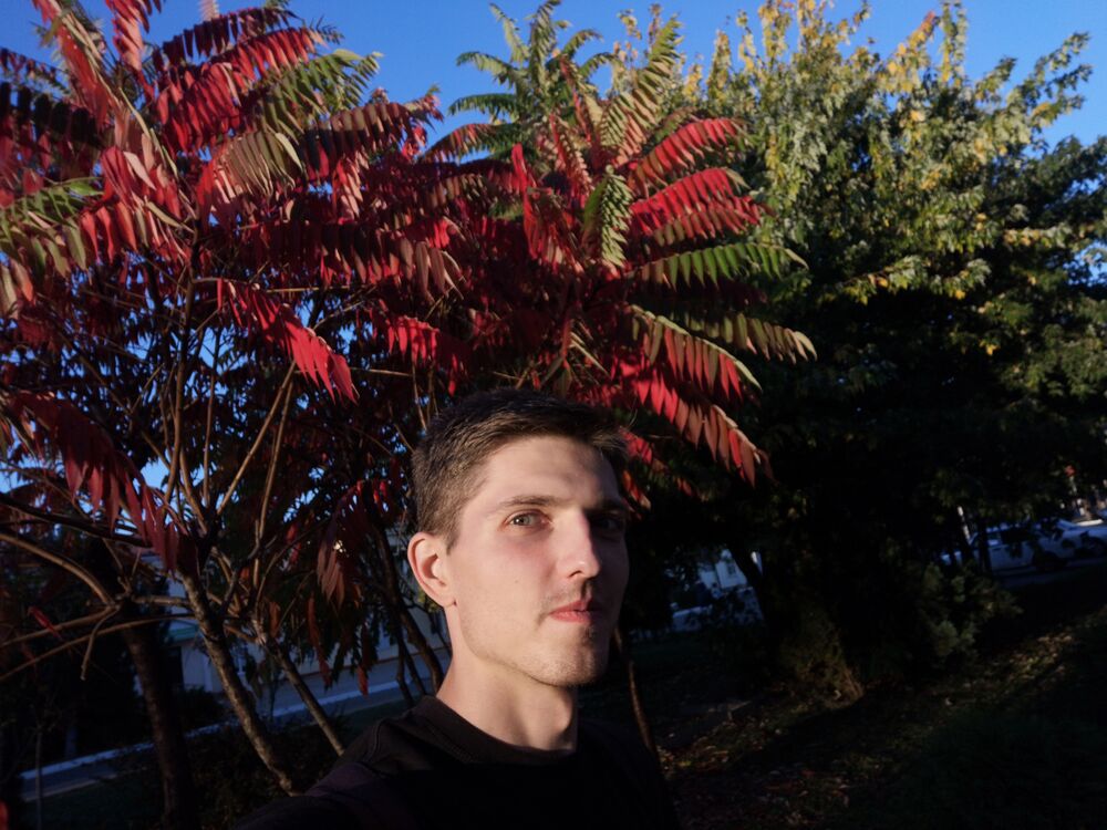 ���������� �����, ���� ������� ����������, 31 ���, ������������ ��� ������, ����� � ���������, c�������� ���������, ���������