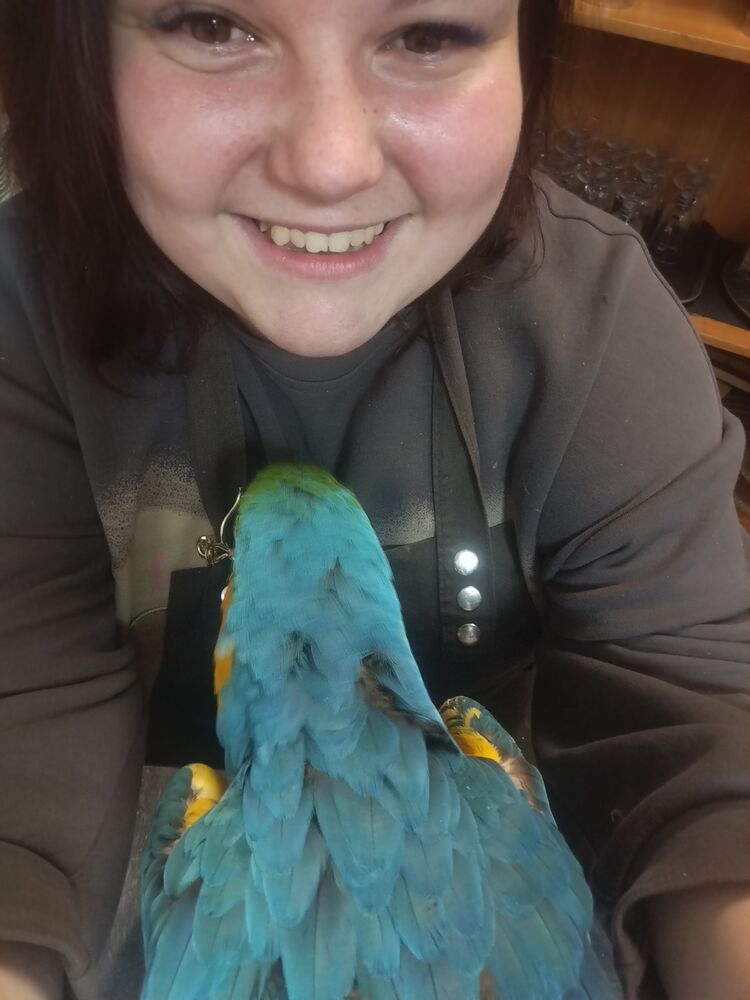 ���������� ����������, ���� ������� �������, 29 ���, ������������ ��� ����� � ���������, c�������� ���������