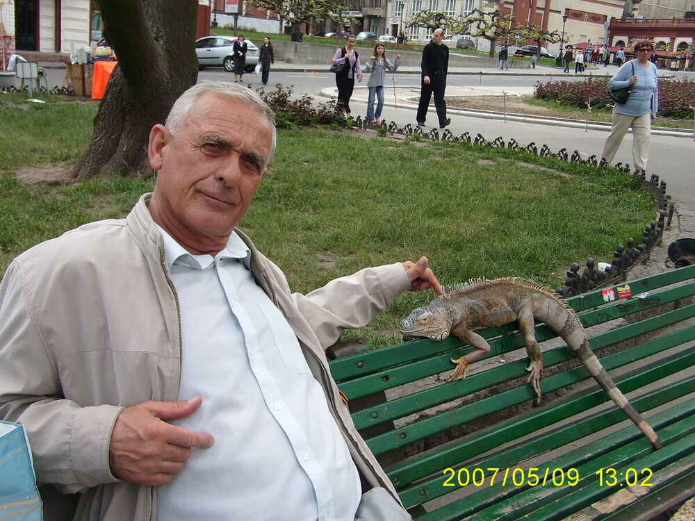  20415473  , 65 ,    