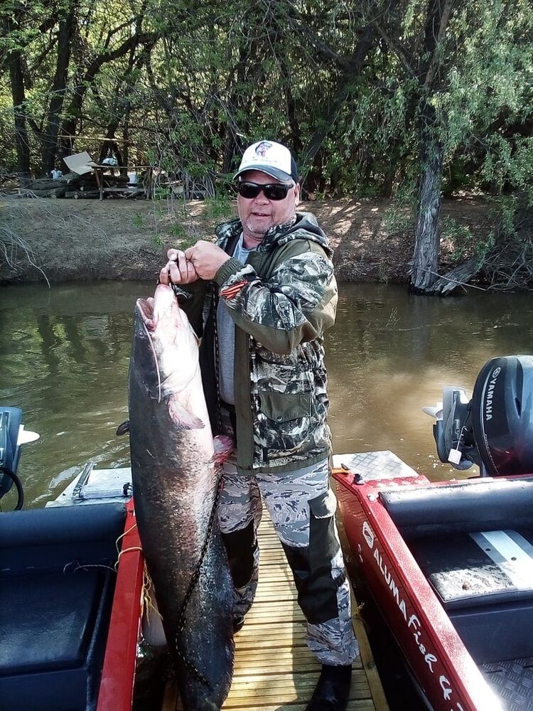 ���� 55028653 ������� ����, 47 ���, ���� ���������� � �������