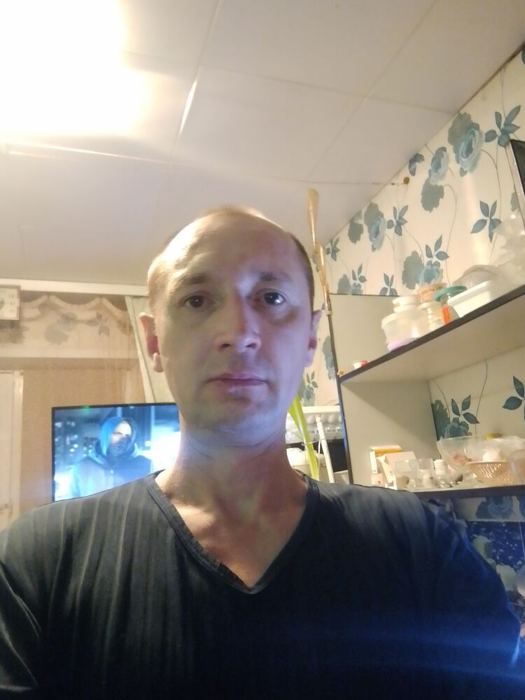  50933903  , 41 ,    