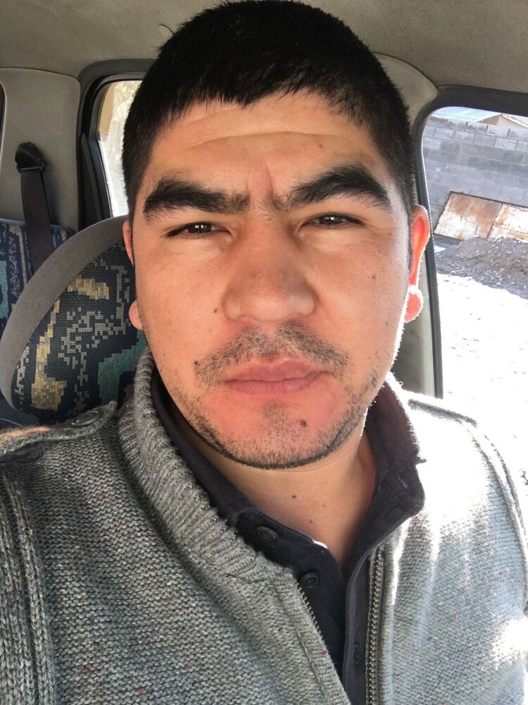 15702543  Zelenoglazoe, 33 ,    