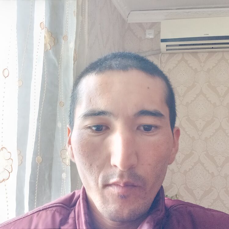  34552653  , 32 ,    