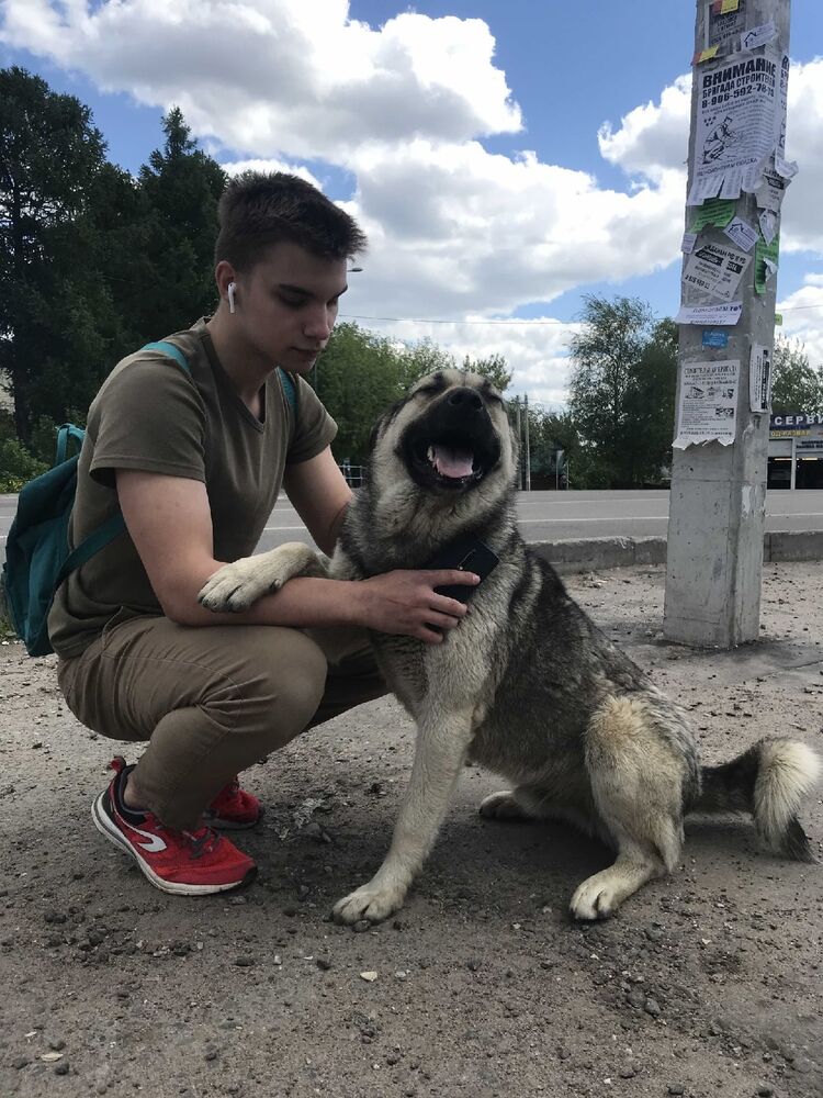 ���������� ����������, ���� ����� ����, 22 ����, ������������ ��� ������, ����� � ���������, c�������� ���������