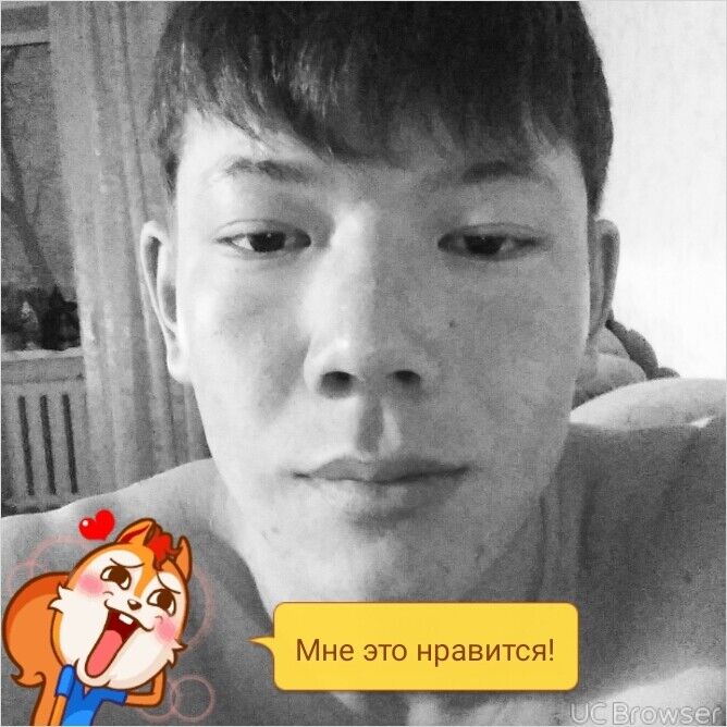  9385753  , 33 ,    