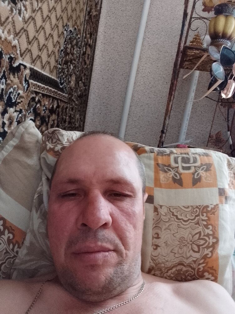  33743643  , 48 ,    