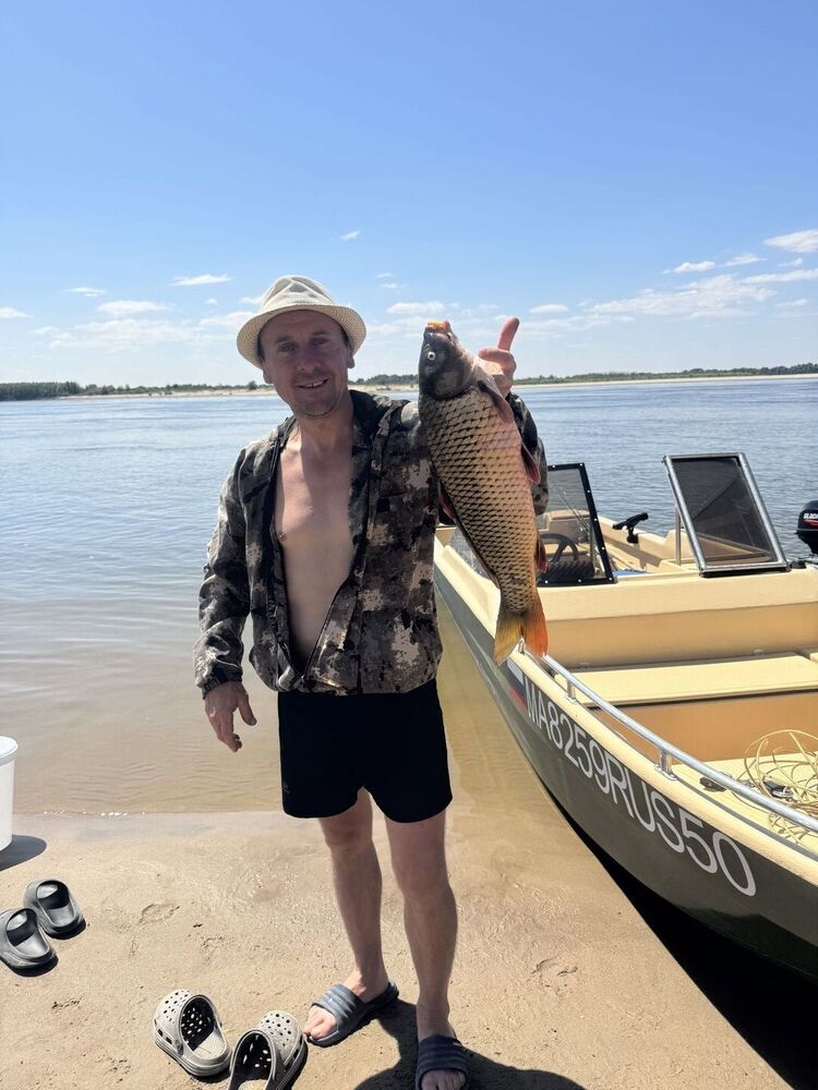 ���������� ������, ���� ������� �������, 43 ����, ������������ ��� ������, ����� � ���������, c�������� ���������