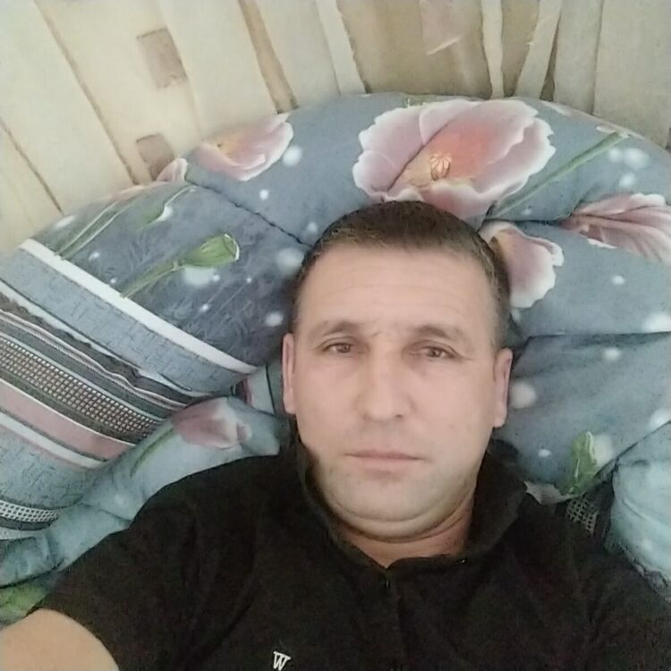  34621193  , 40 ,    -