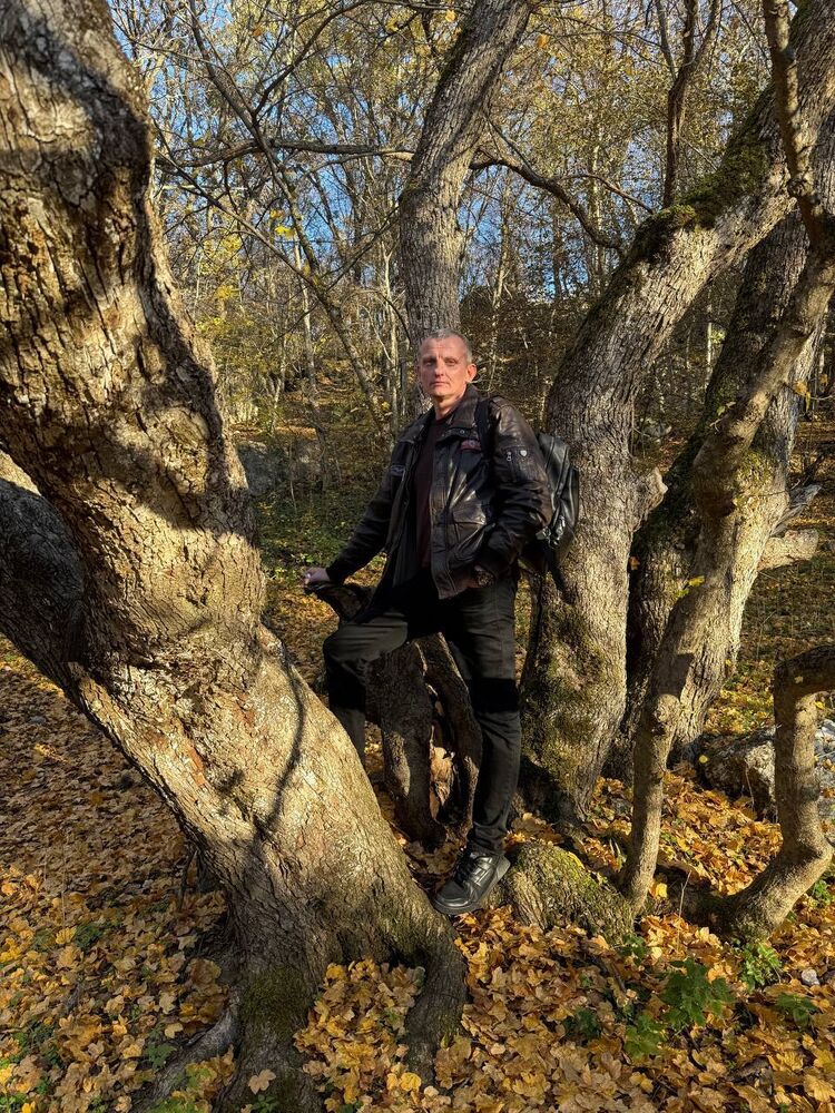 ���������� �����������, ���� ������� �����, 37 ���, ������������ ��� ������, ����� � ���������, c�������� ���������, ���������