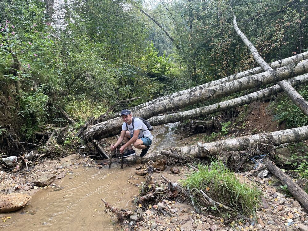 ���������� ������, ���� ������� �����, 36 ���, ������������ ��� ������, ����� � ���������