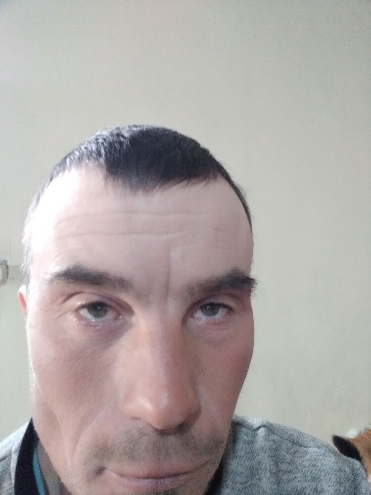 ���� 33617593 ������� ������, 40 ���, ���� ���������� � �������