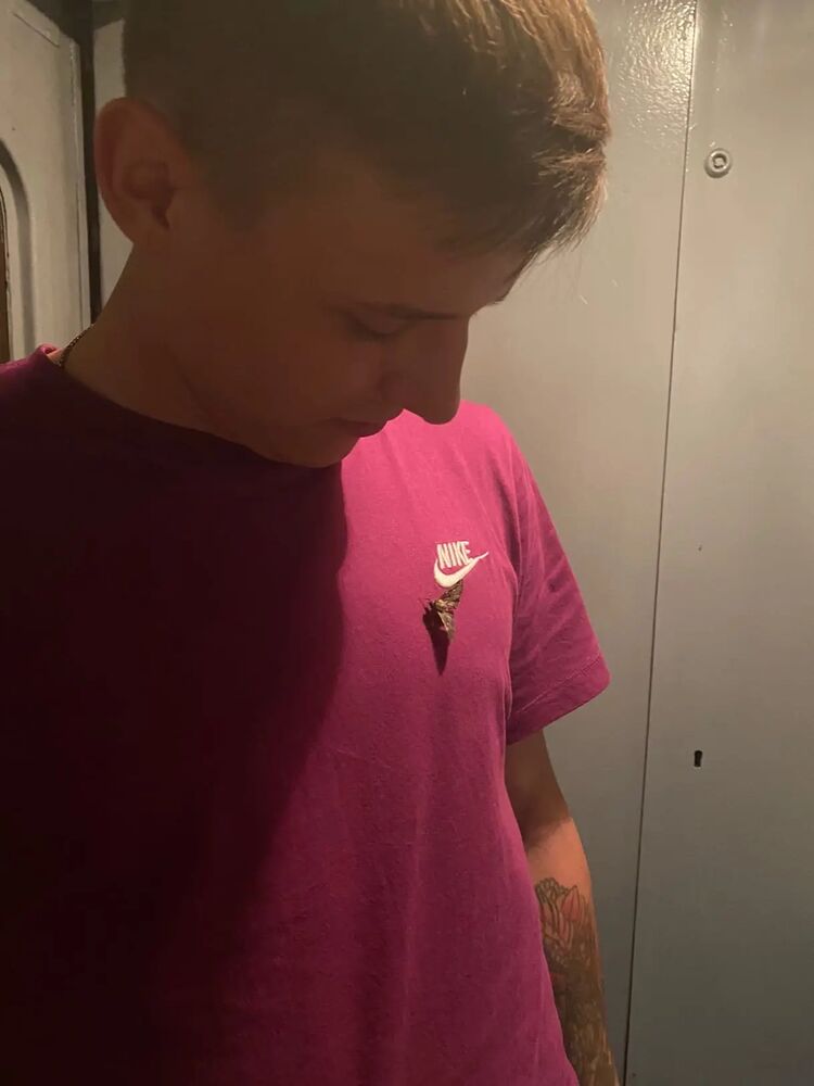 ���� 26513523 ����� ���������, 23 ����, ���� ���������� � �����-����������