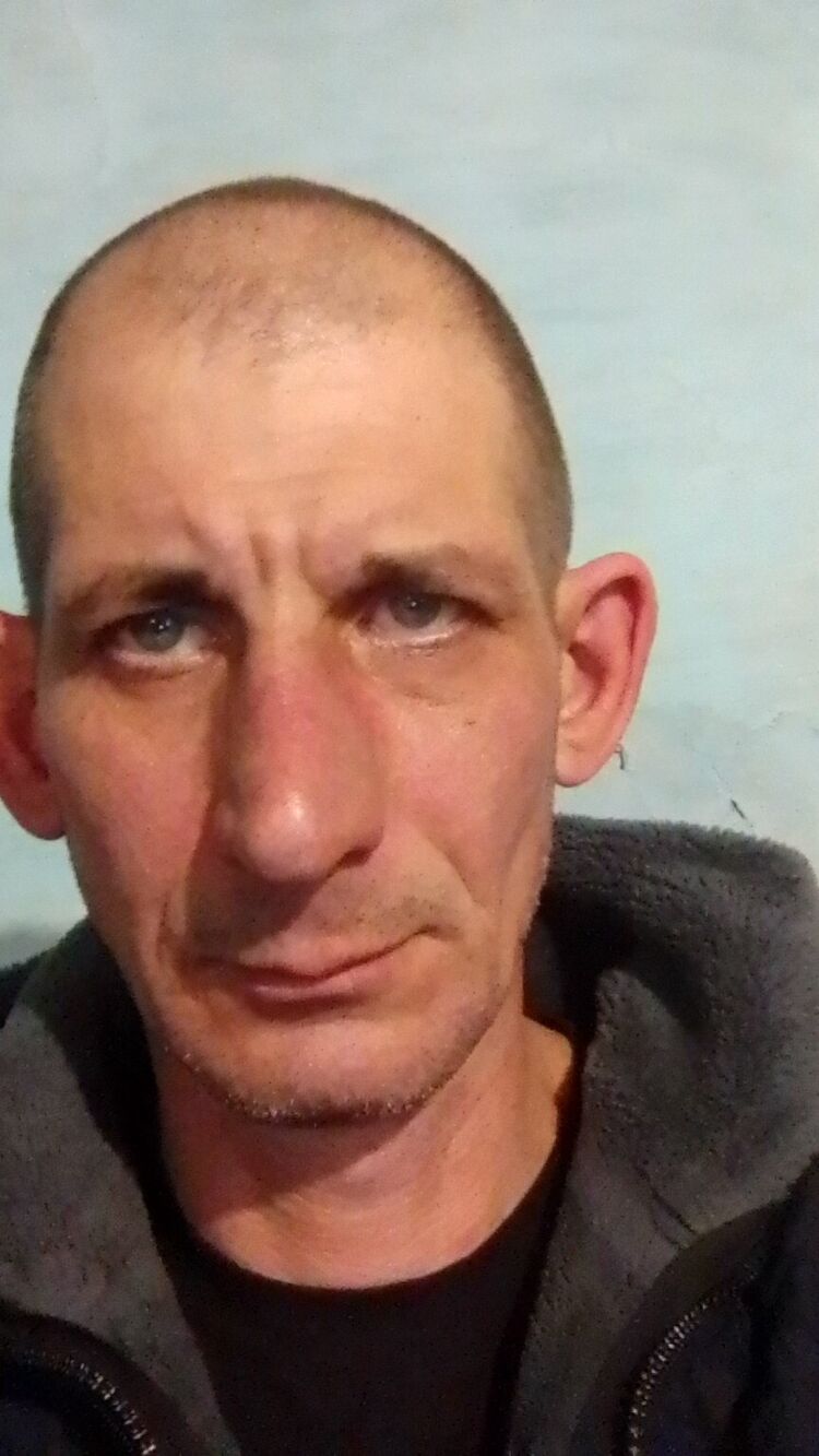  40387343  , 49 ,    
