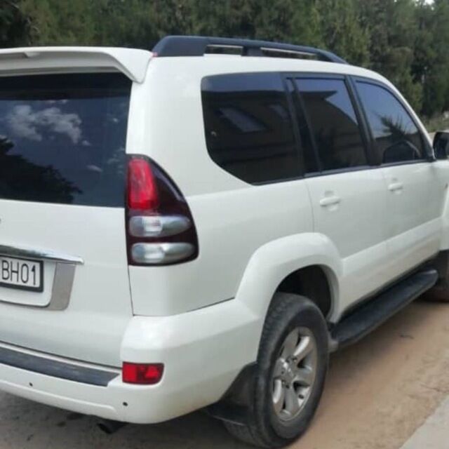  41633573  , 31 ,    
