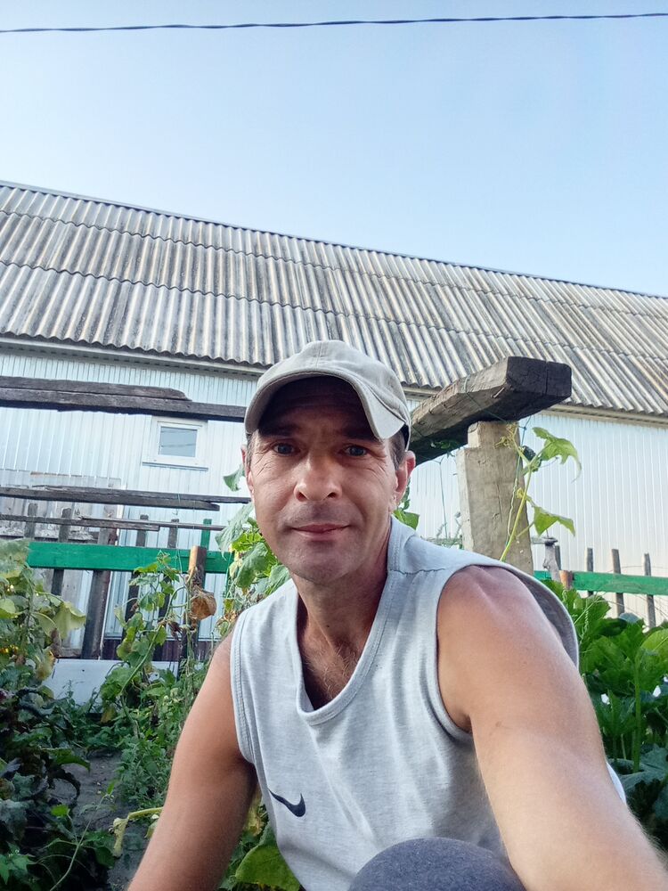  53202803  , 39 ,    