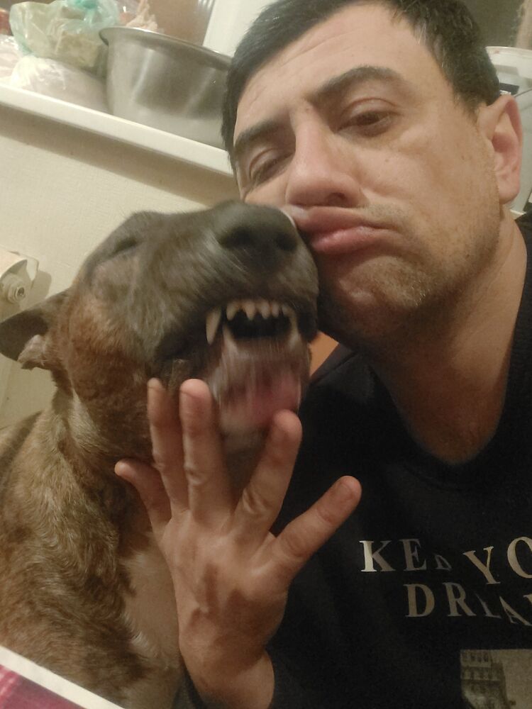 ���������� ������, ���� ������� ����, 44 ����, ������������ ��� ������, ����� � ���������, ���������