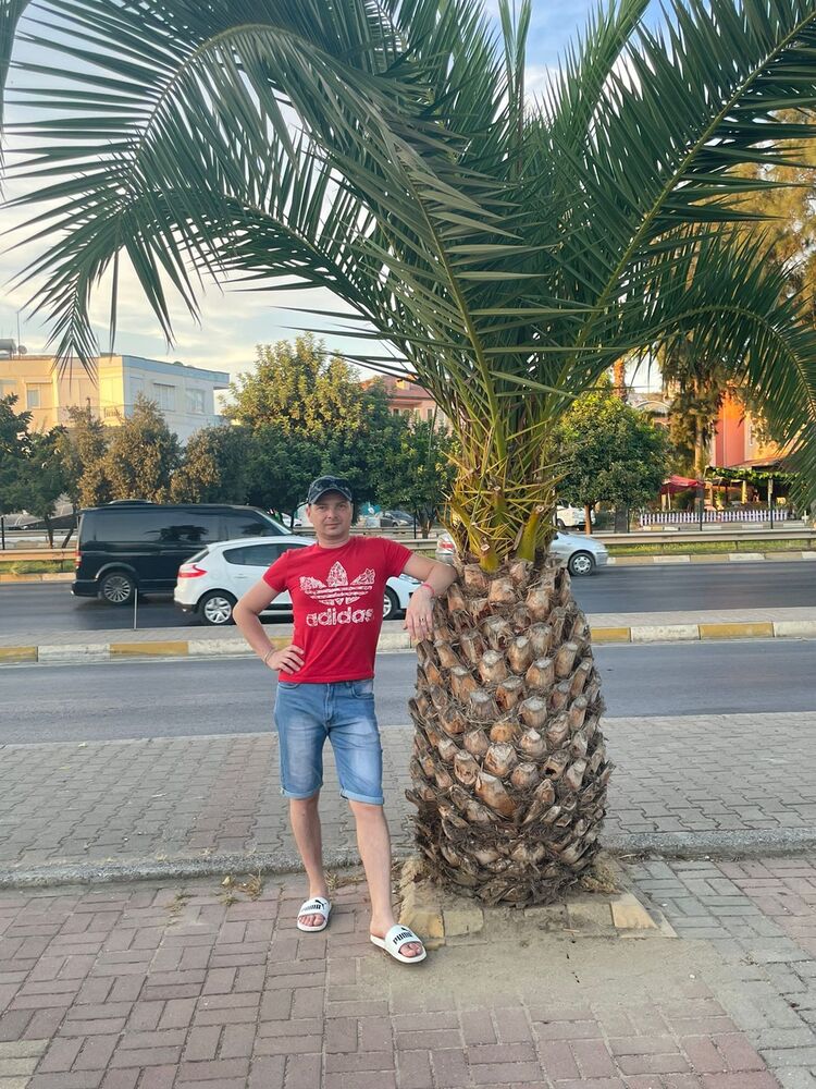 ���������� ���������, ���� ������� ����, 38 ���, ������������ ��� ������, ����� � ���������, c�������� ���������