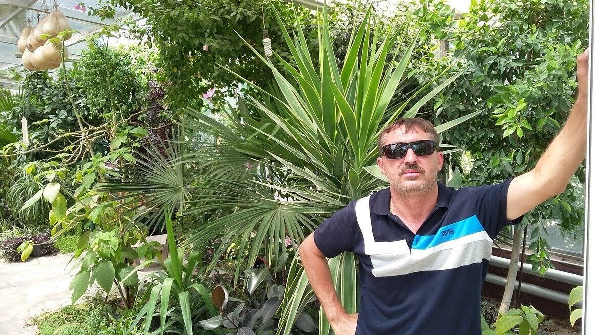  ,   , 54 ,   