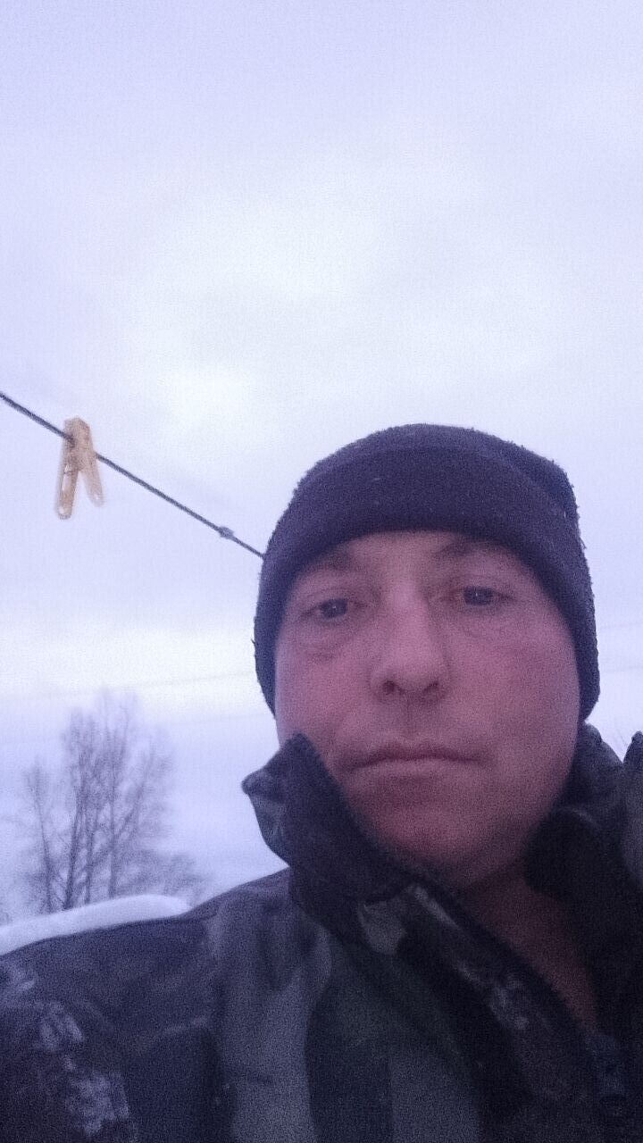  50769773  , 41 ,    