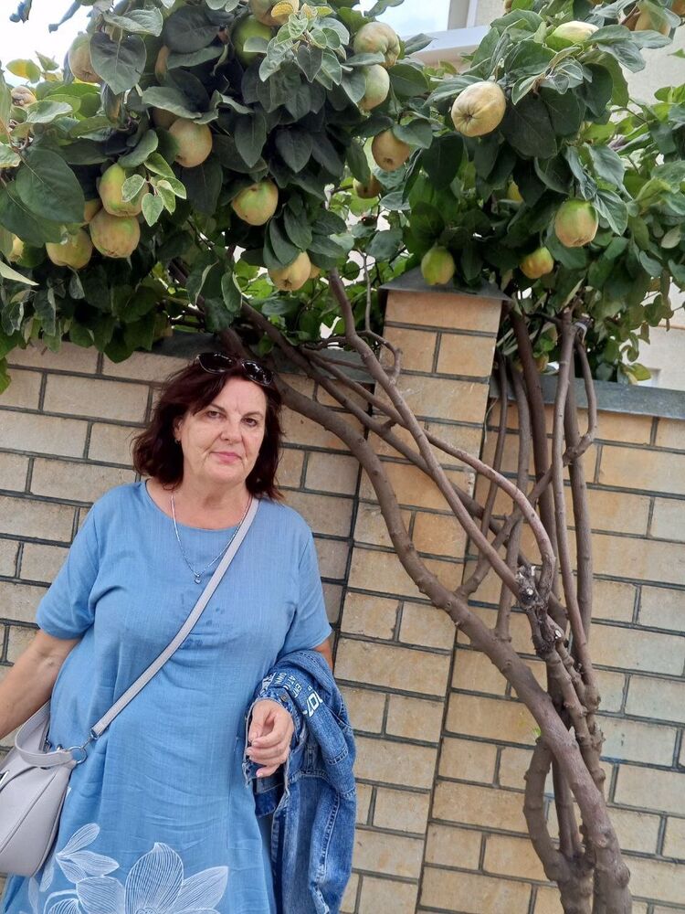 ���������� �����������, ���� ������� �������, 65 ���, ������������ ��� ������, ����� � ���������