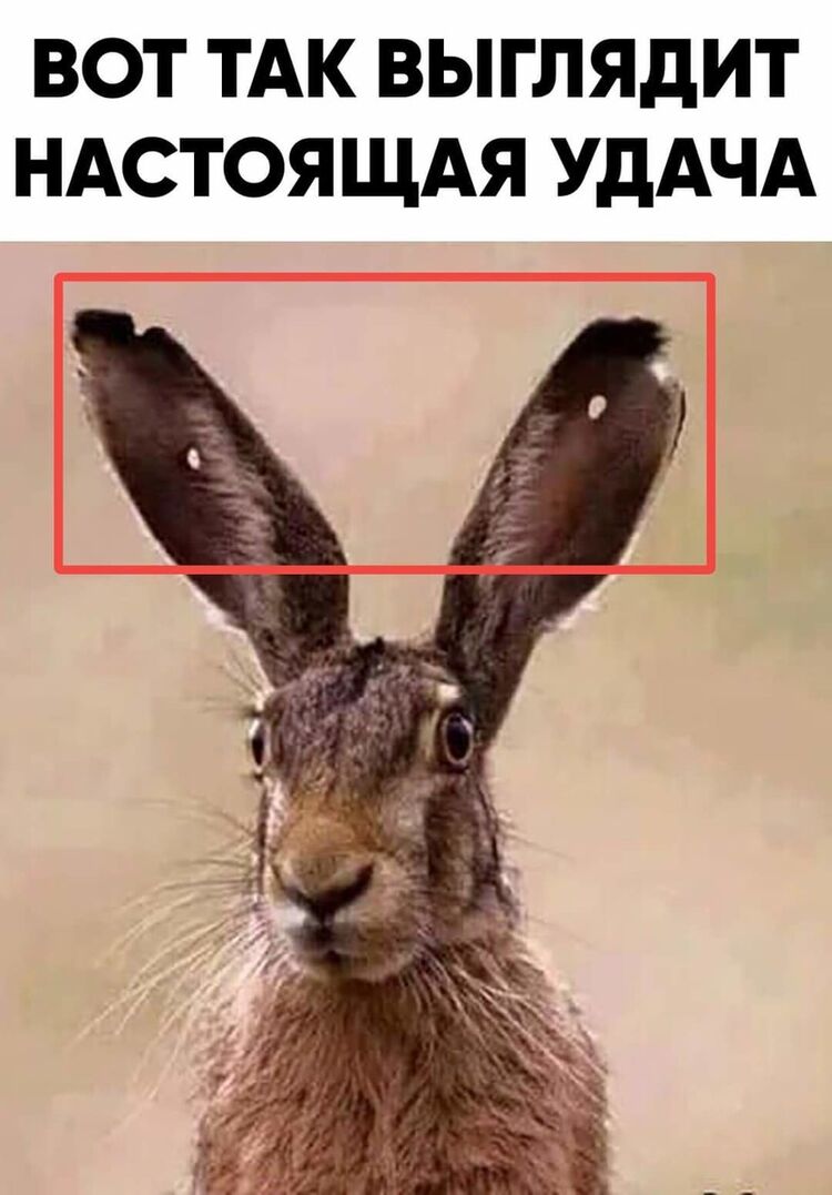 ���� 19488793 ������� ����, 30 ���, ���� ���������� � �������