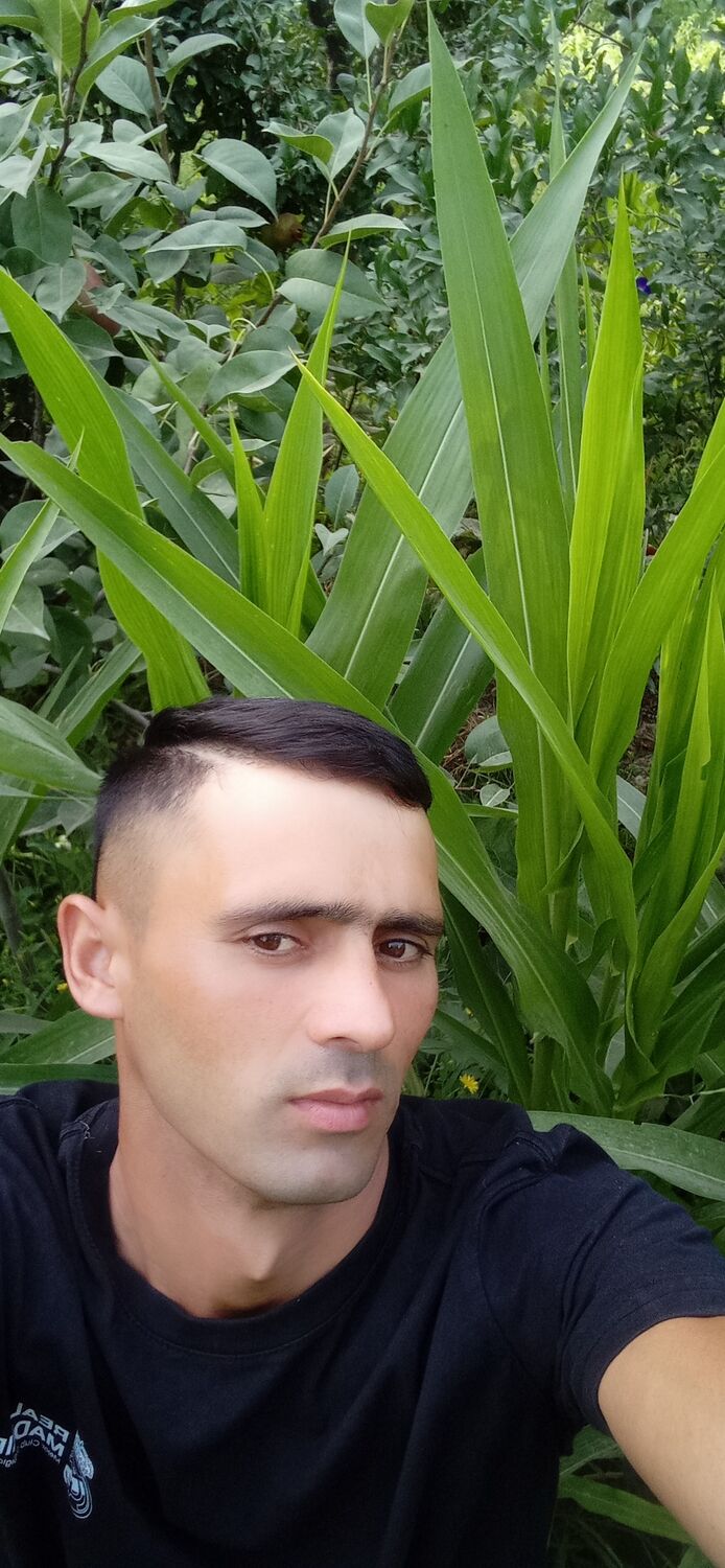  31591143  , 33 ,    -