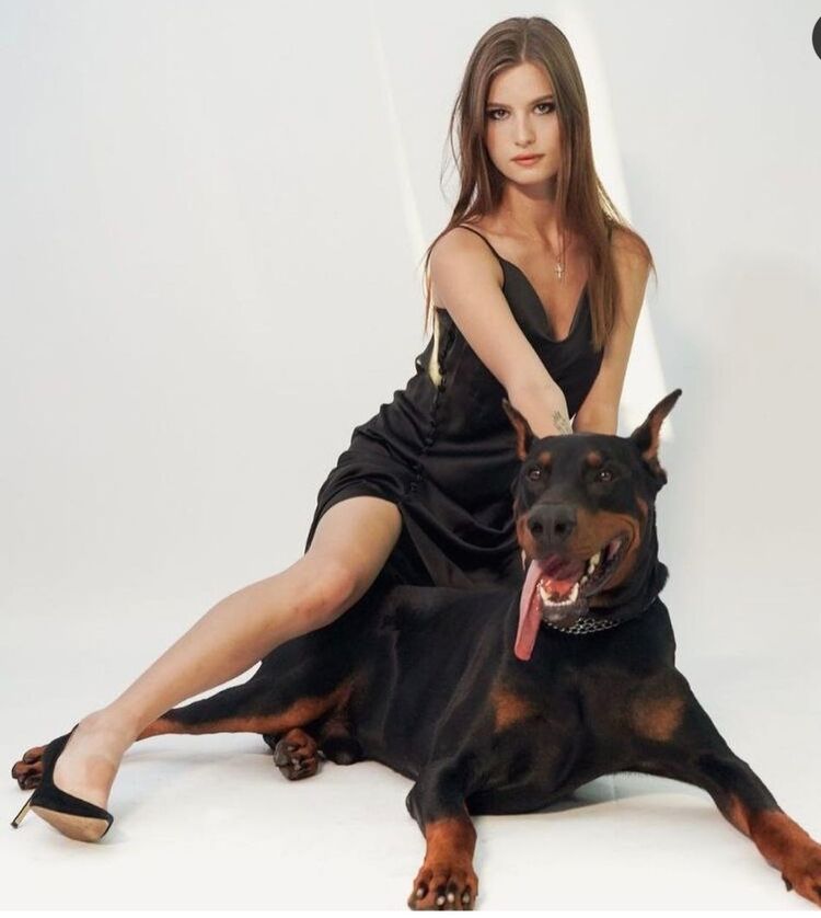 ���������� ���������, ���� ������� �����, 24 ����, ������������ ��� ������, ����� � ���������, c�������� ���������, ���������