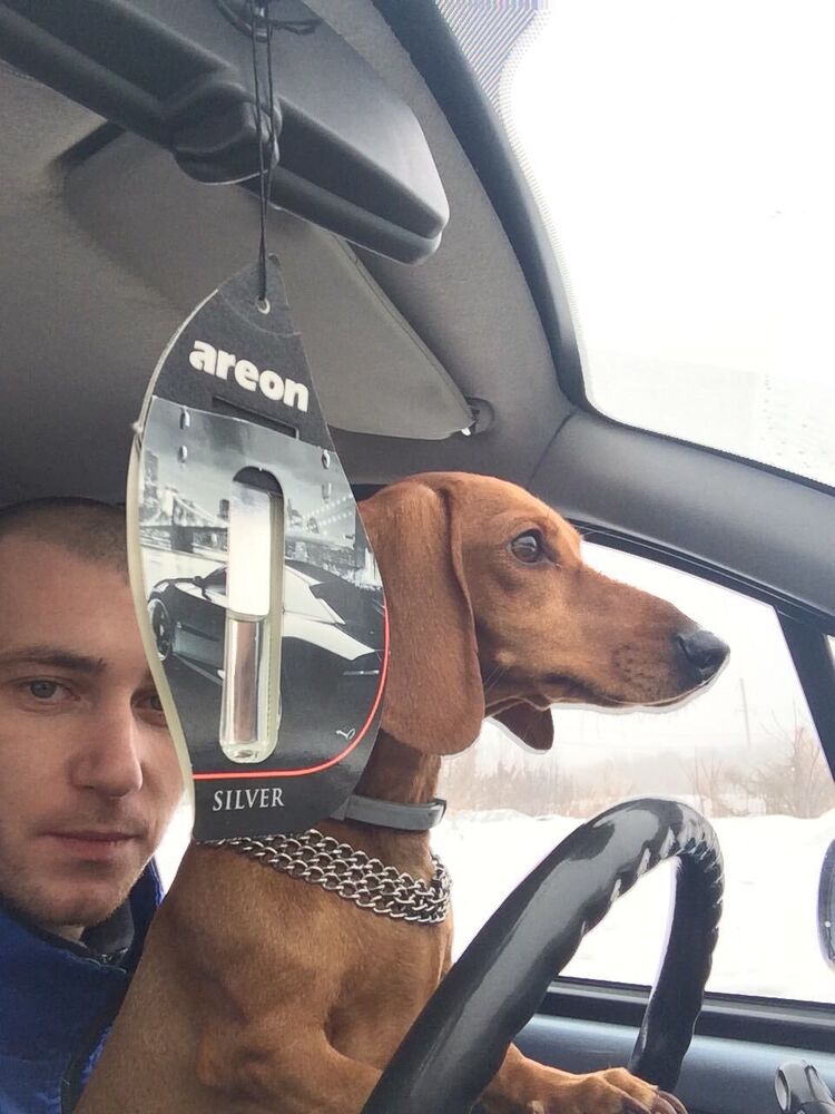 ���� 35693373 ������� �����, 34 ����, ���� ���������� � �������