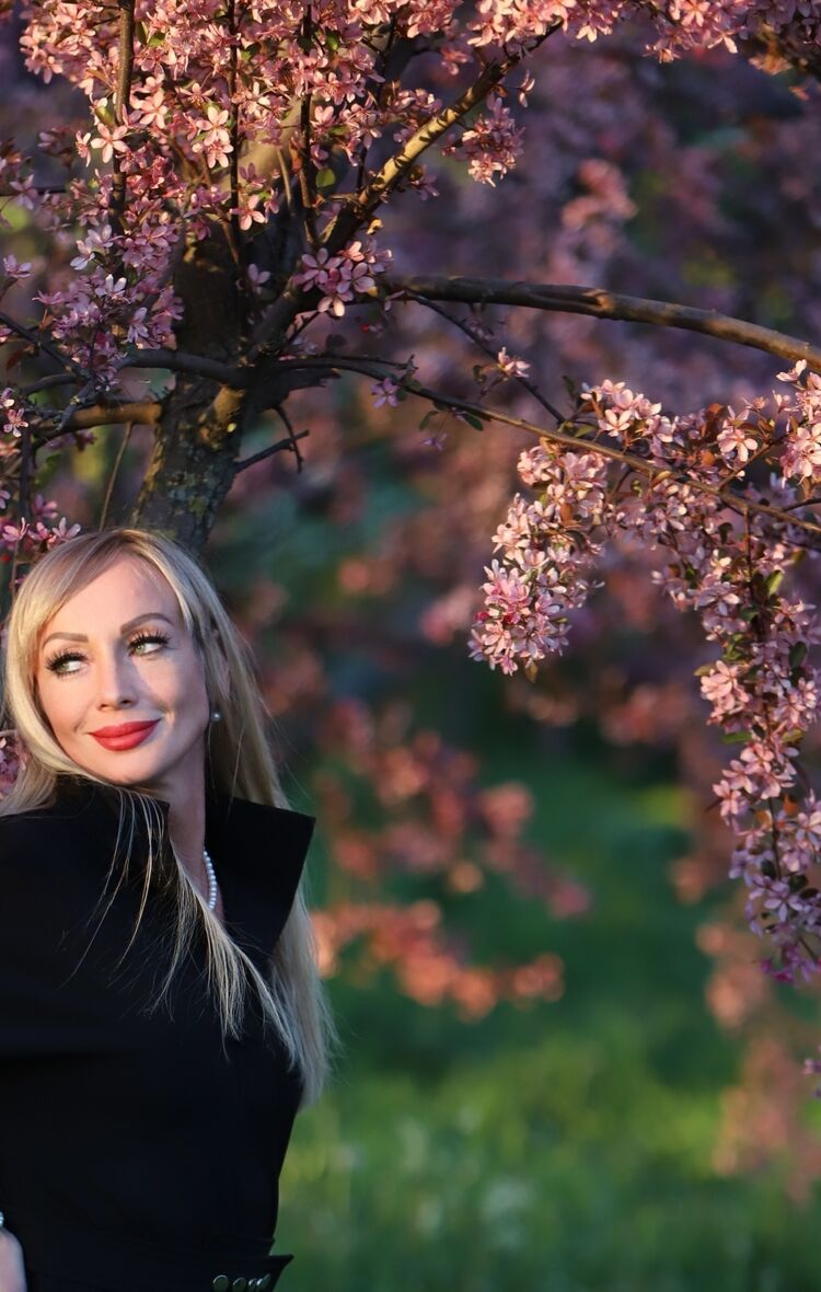  54557253  , 43 ,    -